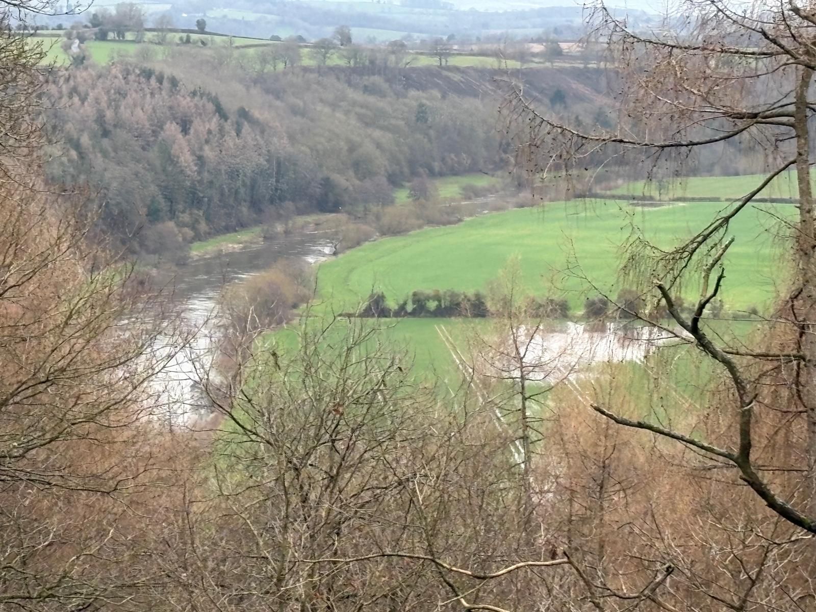 River Wye from Viewpoint